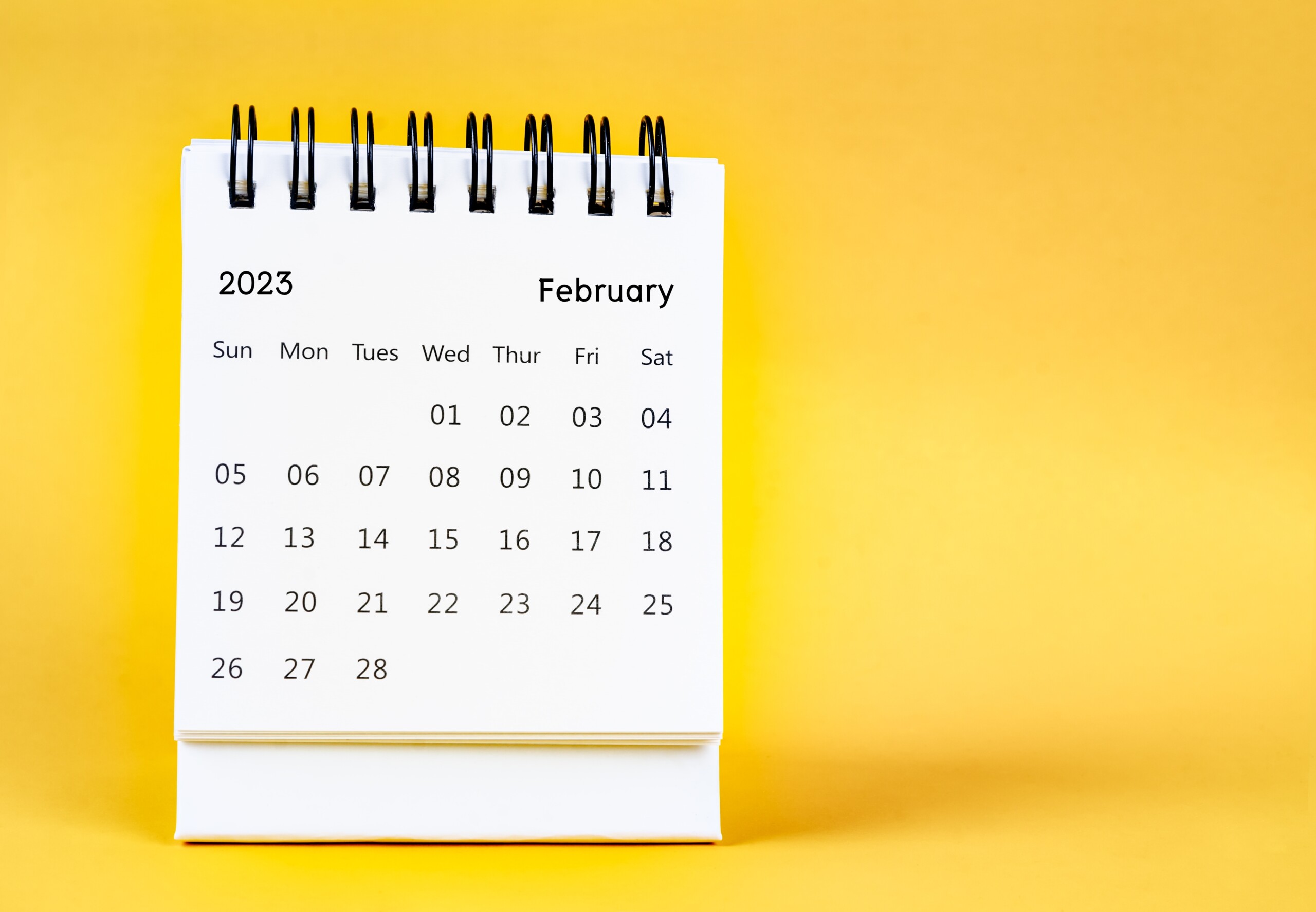 February M365 updates